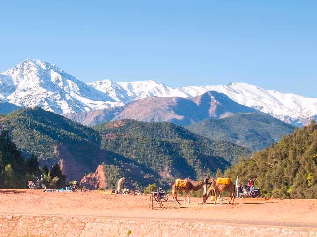 3-Day Atlas to Sahara: The Draa Valley & Zagora Desert Adventure - Image 3